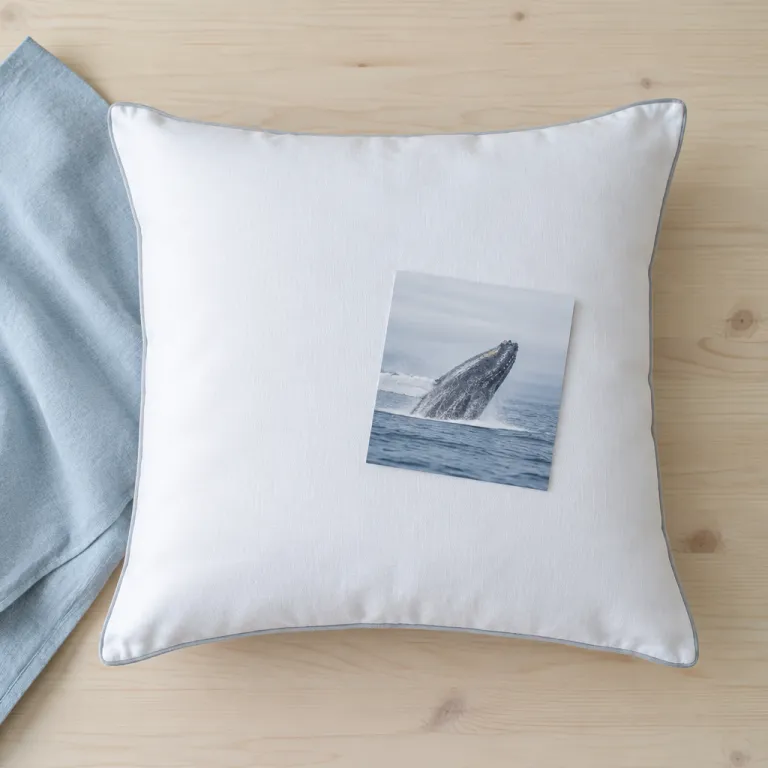 Whale season from the pillow: where South Africa's southern coast lodges put the migration in your room